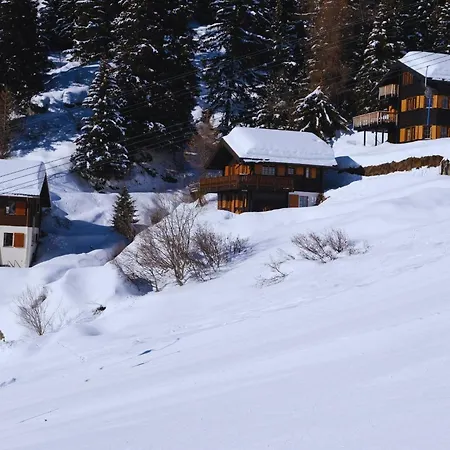 Chratidudel - Ski-in , Ski-out *