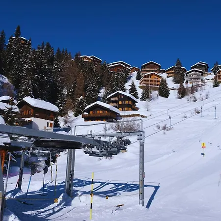 Chratidudel - Ski-in , Ski-out * Bettmeralp