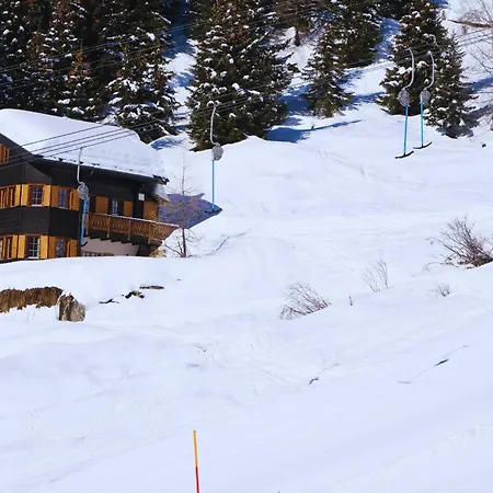 Chratidudel - Ski-in , Ski-out * Bettmeralp