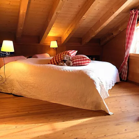 Chratidudel - Ski-in , Ski-out Holiday home *