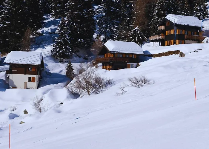 Chratidudel - Ski-in , Ski-out *