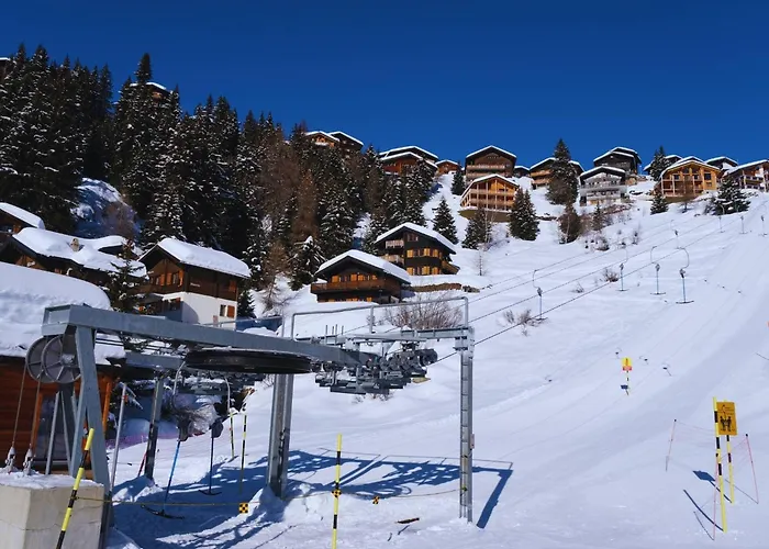 Chratidudel - Ski-in , Ski-out * Bettmeralp