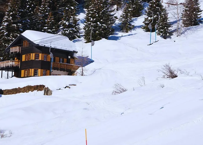 Chratidudel - Ski-in , Ski-out * Bettmeralp